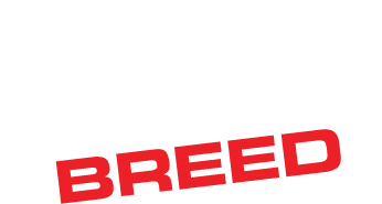 Nasty Daddy Logo